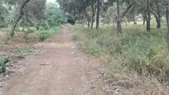 bình phước, dt 37.000. 400m thổ cư, mặt tiền bê tông 317m, 0942954902