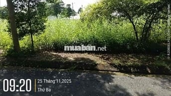 Đất Nền Long Hậu. Mua Bán ký gửi nhà đất