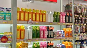 Việc Làm Noel và Tết 2026.Tuyển Nhân Viên LĐPT Quận Tân Phú. Nhận Ngay