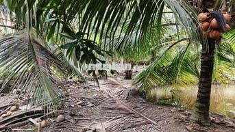 Cần bán gấp nửa công đất sát quốc lộ 57B, có hoa hồng cho môi giới.