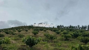 Bán đất rẫy khu vực thôn 12 trường xuân