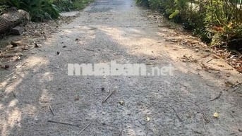 Bán Gấp Vườn Xoài Đường Đan xe Ba Gác