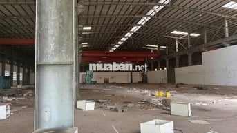 Cho thuê kho xưởng đường đào trí Quận 7