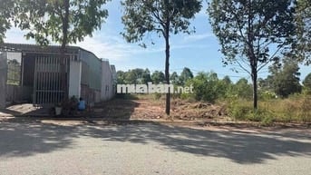 GIÁ 910TR RA LÔ ĐẤT 300M2 MỸ PHƯỚC 4 GẦN ĐH VIỆT ĐỨC - SỔ SẴN