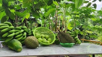 CẦN BÁN NHÀ VƯỜN 4600M GẦN KDL BÀ NÀ ĐẦU TƯ SINH LỜI TỐT