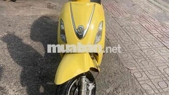 SYM Elizabeth 2010 Vàng đen