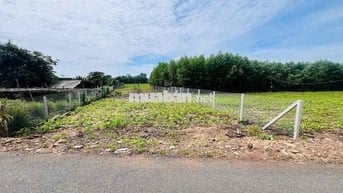 Chỉ 300tr mua được đất TP HCM 225m2 có thổ cư mt đường nhựa thông DH