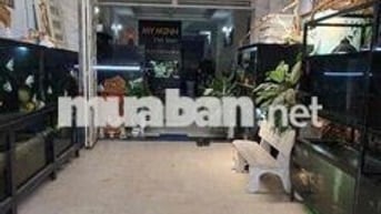 cho thue nhà Hẻm xe tải Phan Huy ích phường 14. Quận Gò Vấp