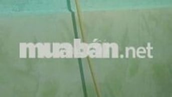 Bình Quới, Phòng trọ không chung chủ.