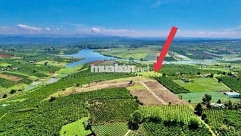 Đất View hồ sổ sẵn gần Đà Lạt - Phúc Thọ Lâm Hà