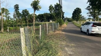 Đất mặt tiền đường nhựa có thổ cư sẵn 300m giá 2.5tr/m2 ở Trảng Bom