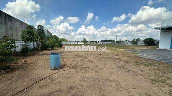 CHO THUÊ BÃI 1250M GIÁ 25K/MÉT