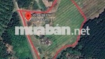 Hạ giá 1tỷ , Giá mới 5tỷ Chính chủ cần bán đất xã suối kiết, huyện tán