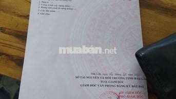 Cách đường tránh đông khoảng 200m