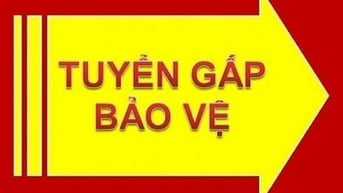TUYỂN GẤP THÊM NV BẢO VỆ CỬA HÀNG CHO NOEN VÀ CUỐI NĂM 