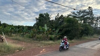 Công ty đấu giá hợp danh Thành Trí THÔNG BÁO ĐẤU GIÁ TÀI SẢN