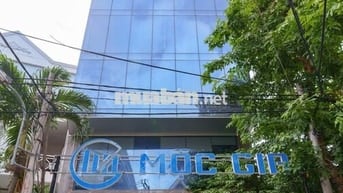 Văn Phòng Cho Thuê Mặt Tiền Lam Sơn, Sát Sân Bay Cách 5 Phút Di Chuyển