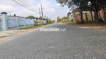 CÂN TIỀN BÁN GẤP- ĐƯỜNG NHỰA THÔNG 5x25m. Chỉ 450Tr