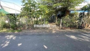 bán đất mặt tiền lộ nhựa xã phú hưng cách chợ giữa 300m