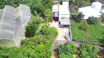 NHÀ VƯỜN 1.000m² NGUYỄN TRI PHƯƠNG – LỘC TIẾN, BẢO LỘC | GIÁ 8,6 TỶ (B