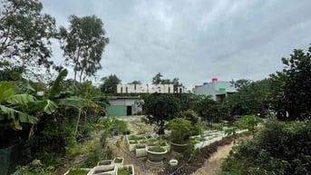 Bán nhà vườn khủng kiệt Khái Tây 2, có QH mở đường 7,5m