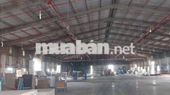 Cần Cho Thuê Kho Mặt Tiền Đường Nguyễn Văn Tiếc ,P Lái Thiếu