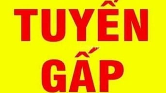 Cần tuyển thợ phụ biết gội đầu làm móng giỏi, Lương cao, Q.Bình Thạnh 