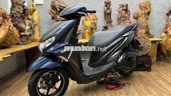 👉Freego 2021 chính chủ bstp khoá smartkey