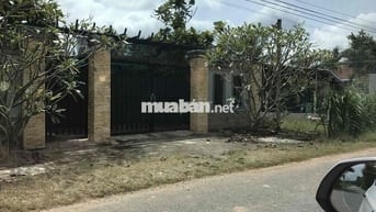 đất MT nhựa lớn kinh doanh mọi ngành nghề….