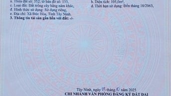 Chính Chủ Cần Bán Gấp Lô Đất Hựu Thạnh – Long An Chỉ 800 triệu