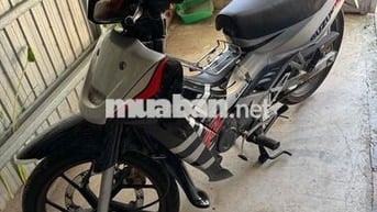 Xipo như hình Satria