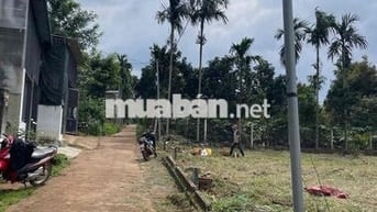 Tìm surius xăg cơ