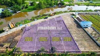 Đất vườn view sông lên full thổ ở Long An