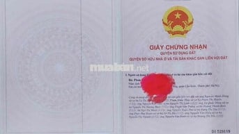 Bán CCMN Siêu Thoáng Rộng 2ngủ 2wc- Sổ Hồng Từng Căn - Phương Mai, Dđ