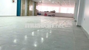 Cho Thuê Nhà Lớn Đường Bạch Đằng, Tân Bình ( 2 Thang Máy + PCCC Full )