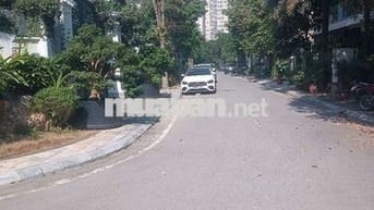 Biệt thự Bảo Sơn Lô 3 góc 220m - bàn giao thô - 40 tỷ.