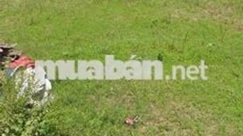 Thửa đất lớn thuộc xã Điện Hoà (cũ), chính chủ bán