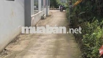 BÁN NHÀ ĐƯỜNG ĐINH ĐỨC THIỆN NỐI DÀI