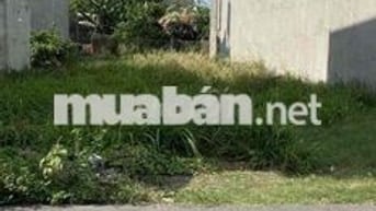 bán đất DX025 gần KCN Đại đăng .