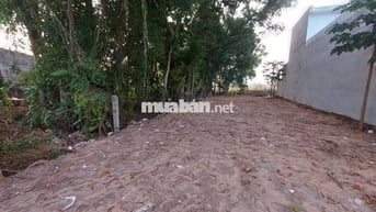 Bán đất ful thổ Phạm Thị Thàng,Củ Chi, SHR,DT 175m2 giá chỉ 1.150 tỷ