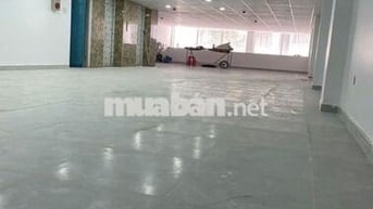 CHO THUÊ TOÀ NHÀ MẶT TIỀN ĐƯỜNG BẠCH ĐẰNG 8,6X24M 6L CÓ THANG MÁY PCCC