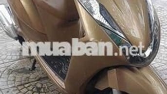 Honda Lead Vàng đồng