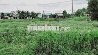 Chính chủ gửi bán, 5x22 giá 990 triệu, dường thông, shr, Đức Hòa Đông