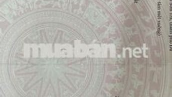 Bán đất mặt tiền đẹp đường lê tấn trung sơn trà đà nẵng