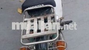 Honda Cup Xanh lá cây, Trắng