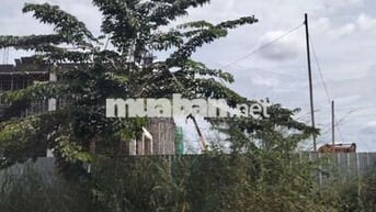 Đất đẹp giá rẻ cho các anh chị đầu tư