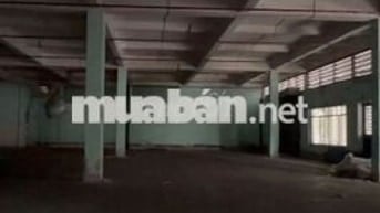 Kho đẹp cần cho thuê gấp ở Nguyễn Tất Thành diện tích 300m2