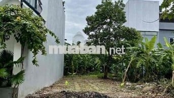 CẦN BÁN ĐẤT THANH LƯƠNG 30 - HÒA XUÂN ĐÀ NẴNG