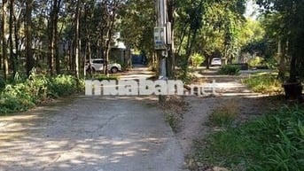 Bán đất khu 6 định hòa tdm bình dương