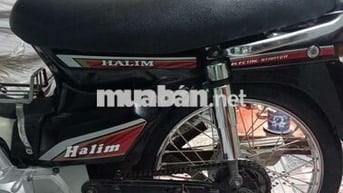 dream halim korea biển số TP